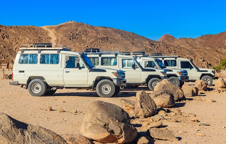 Super Bedouin Safari
